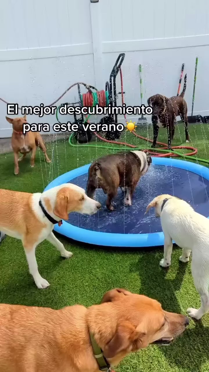 GuauMimos
